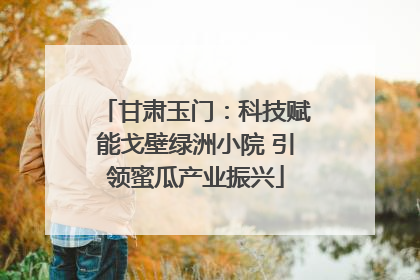 甘肃玉门：科技赋能戈壁绿洲小院 引领蜜瓜产业振兴